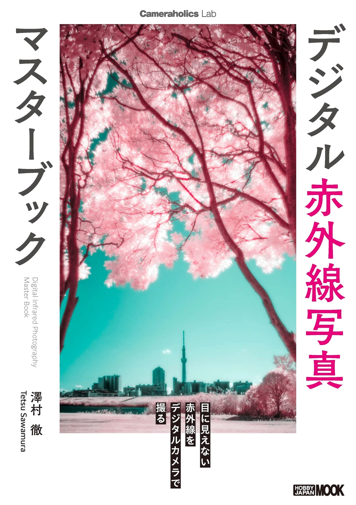 Cameraholics Lab: Digital Infrared Photography Master Book (HOBBY JAPAN MOOK)