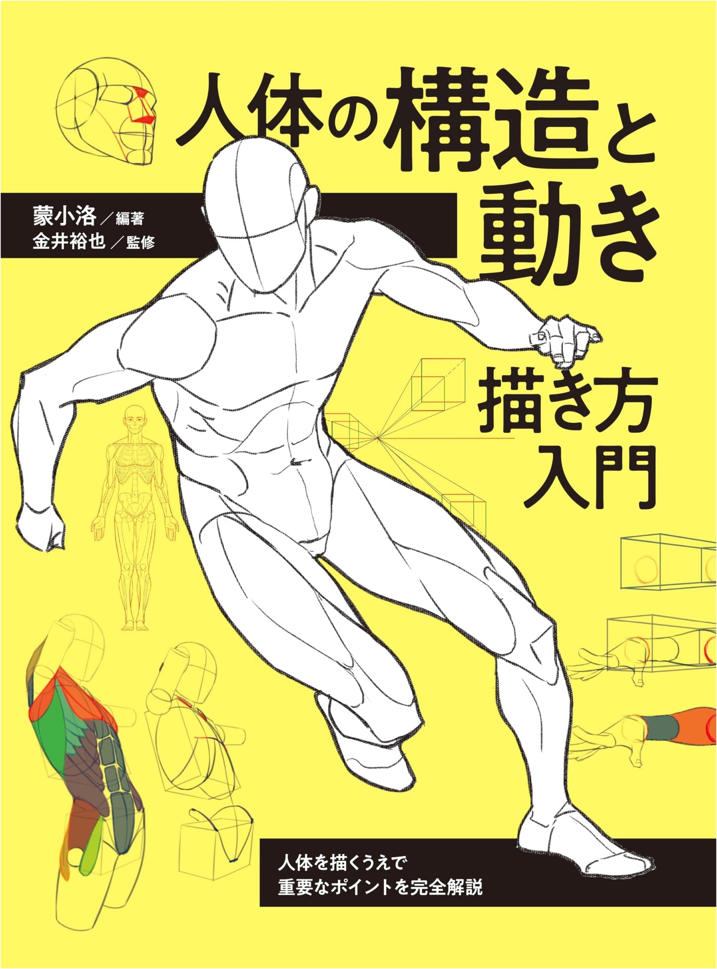 Drawing the Human Body: Structure & Movement - An Essential Guide for Artists