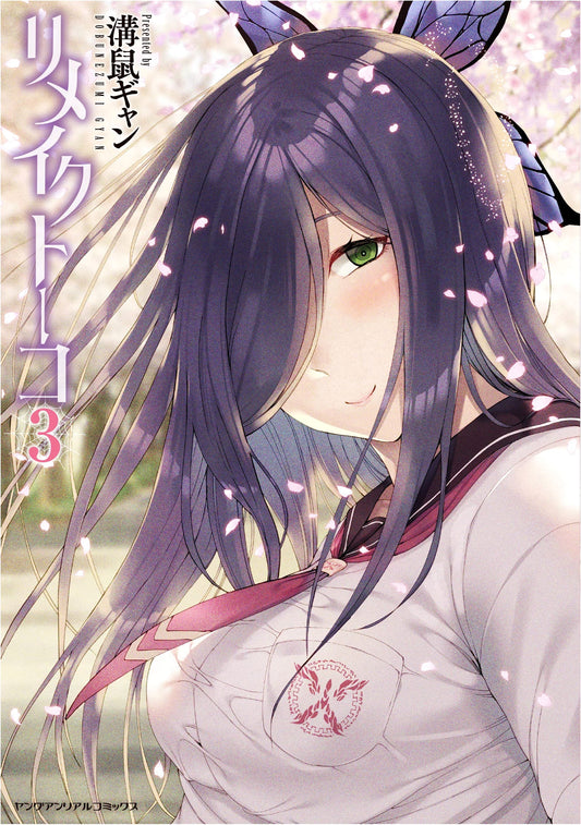 Remake Touko Vol. 3 (Young Unreal Comics)