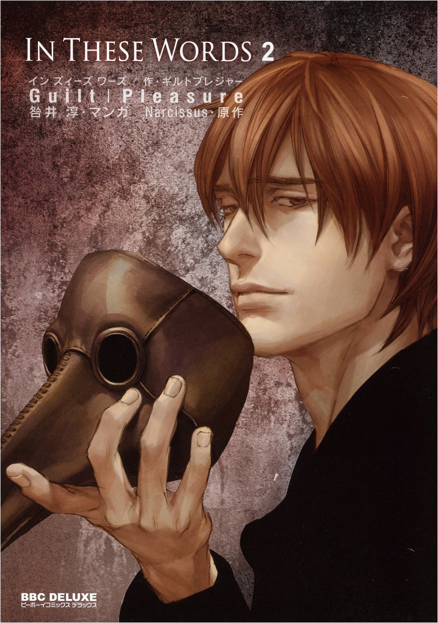 In These Words Vol. 2 (Be Boy Comics Deluxe)