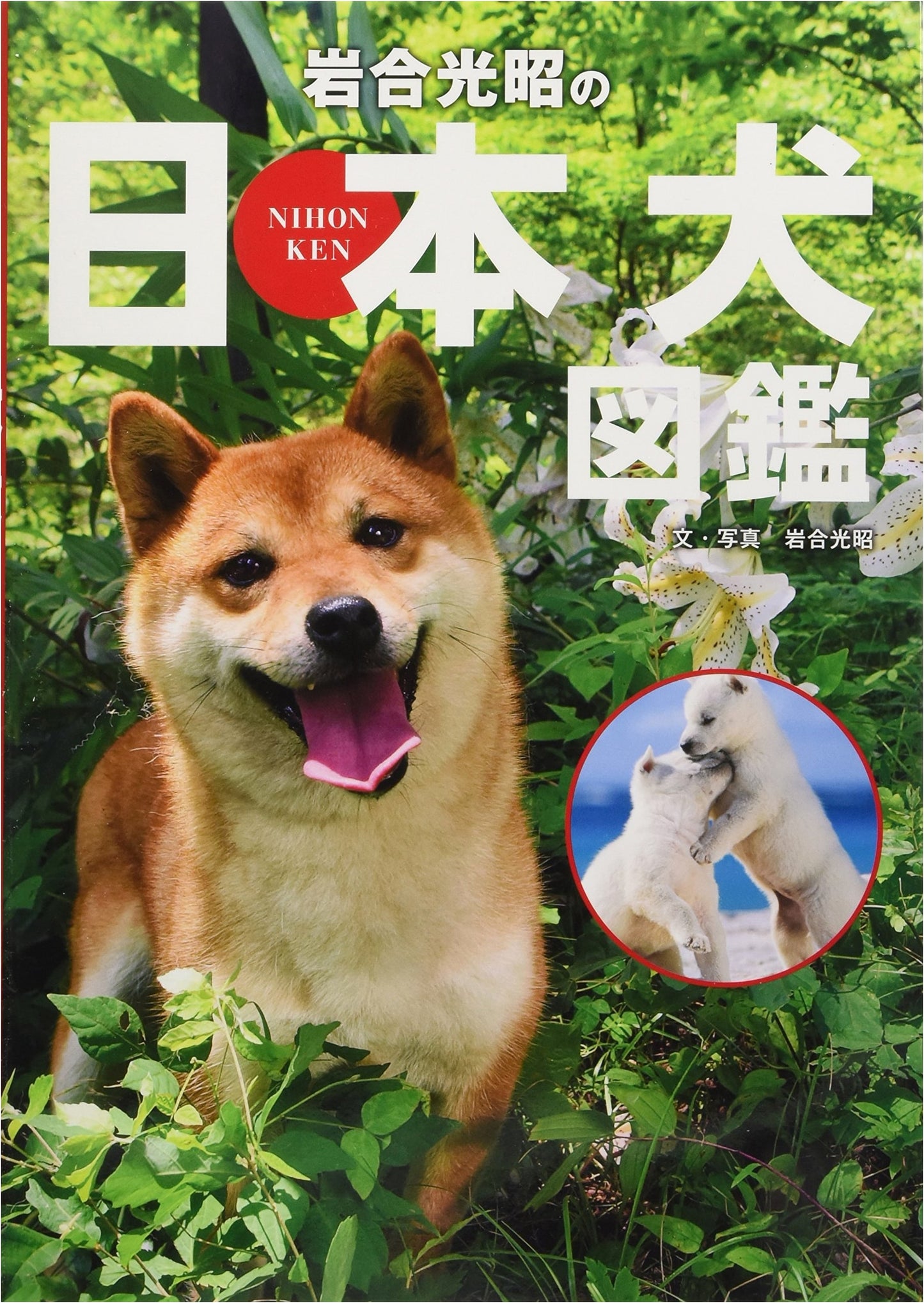 Mitsuaki Iwago's Illustrated Encyclopedia of Japanese Dogs