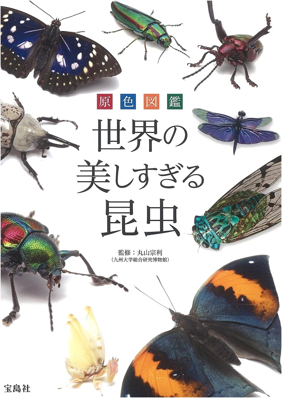 Full-Color Encyclopedia: The World's Most Beautiful Insects