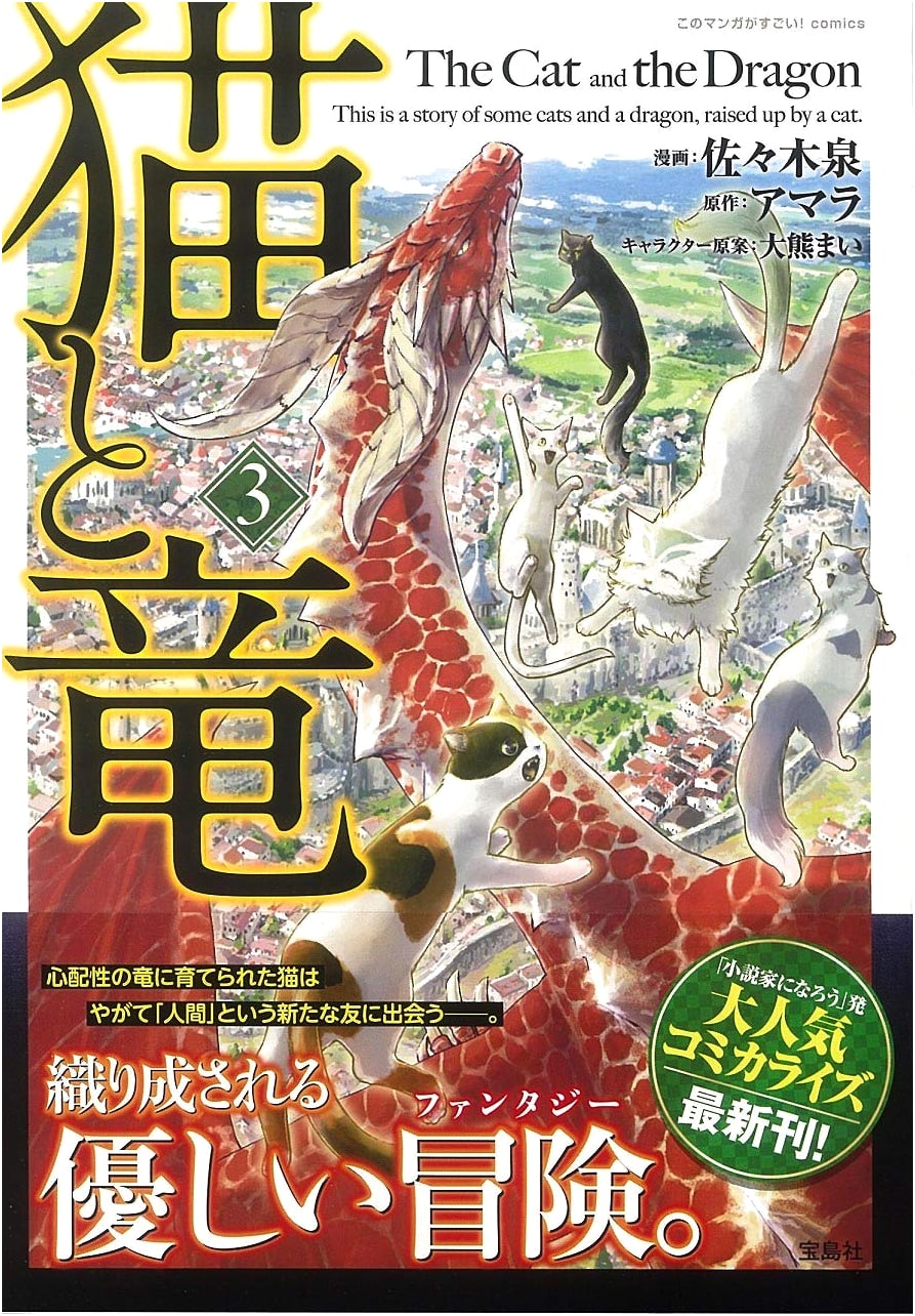 This Manga is Amazing! Comics: Cat and Dragon 3 by Amara