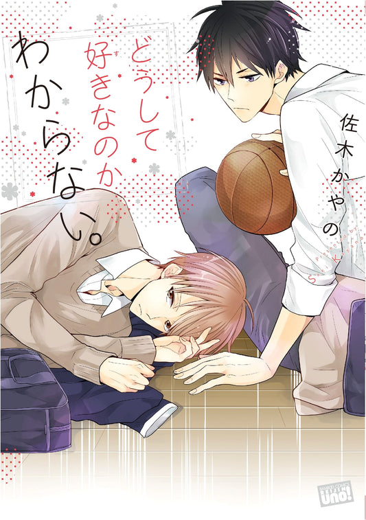 I Don't Know Why I Like It: Reijin Uno! BL Manga