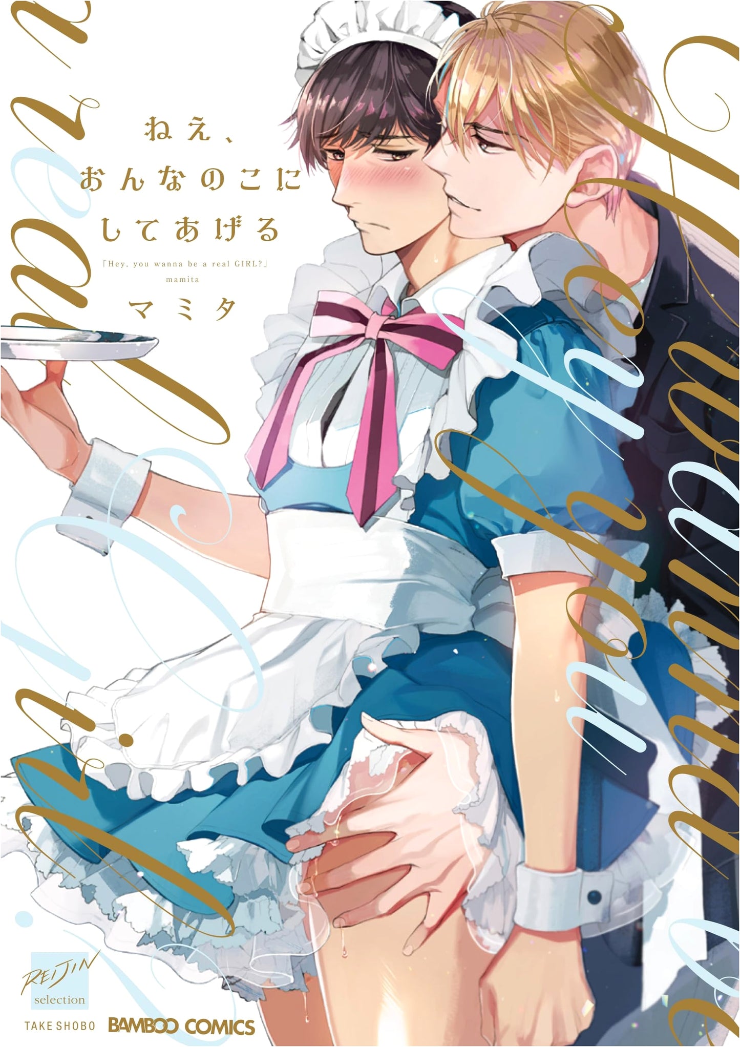 Hey, I'll Make You a Girl (Bamboo Comics Reijin Selection)
