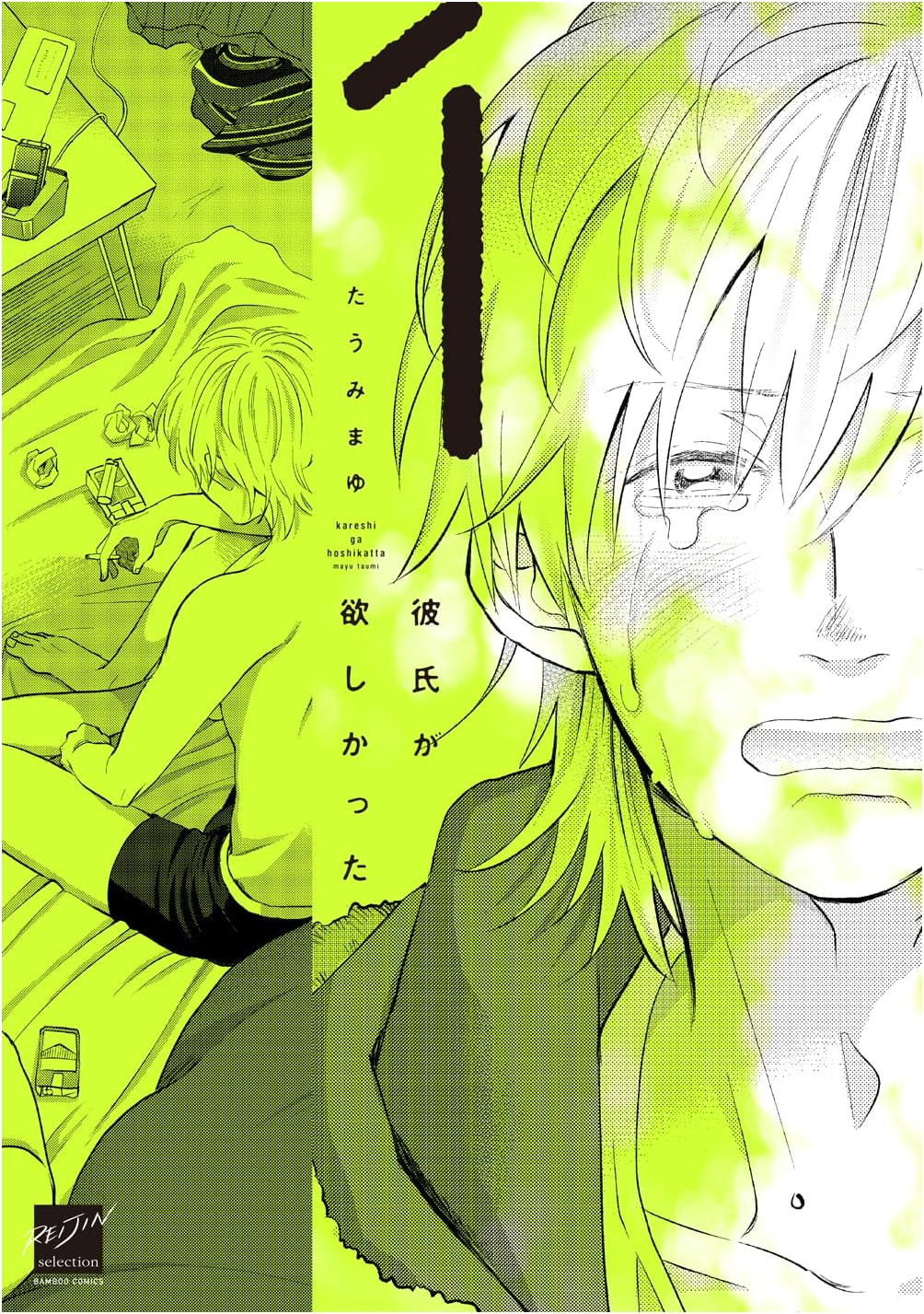 I Wanted a Boyfriend (1) (Bamboo Comics)