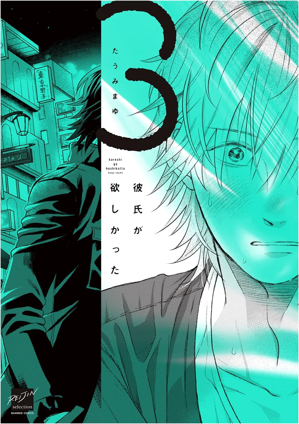 I Wanted a Boyfriend, Vol. 3 (Bamboo Comics Reijin Selection)