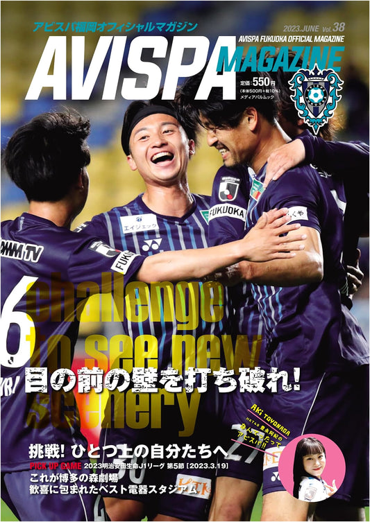 Avispa Magazine Vol. 38: A Media Pal Mook