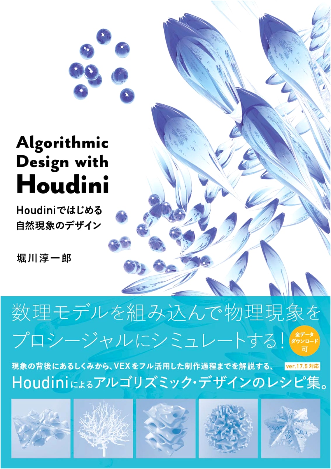 Algorithmic Design with Houdini: Designing Natural Phenomena
