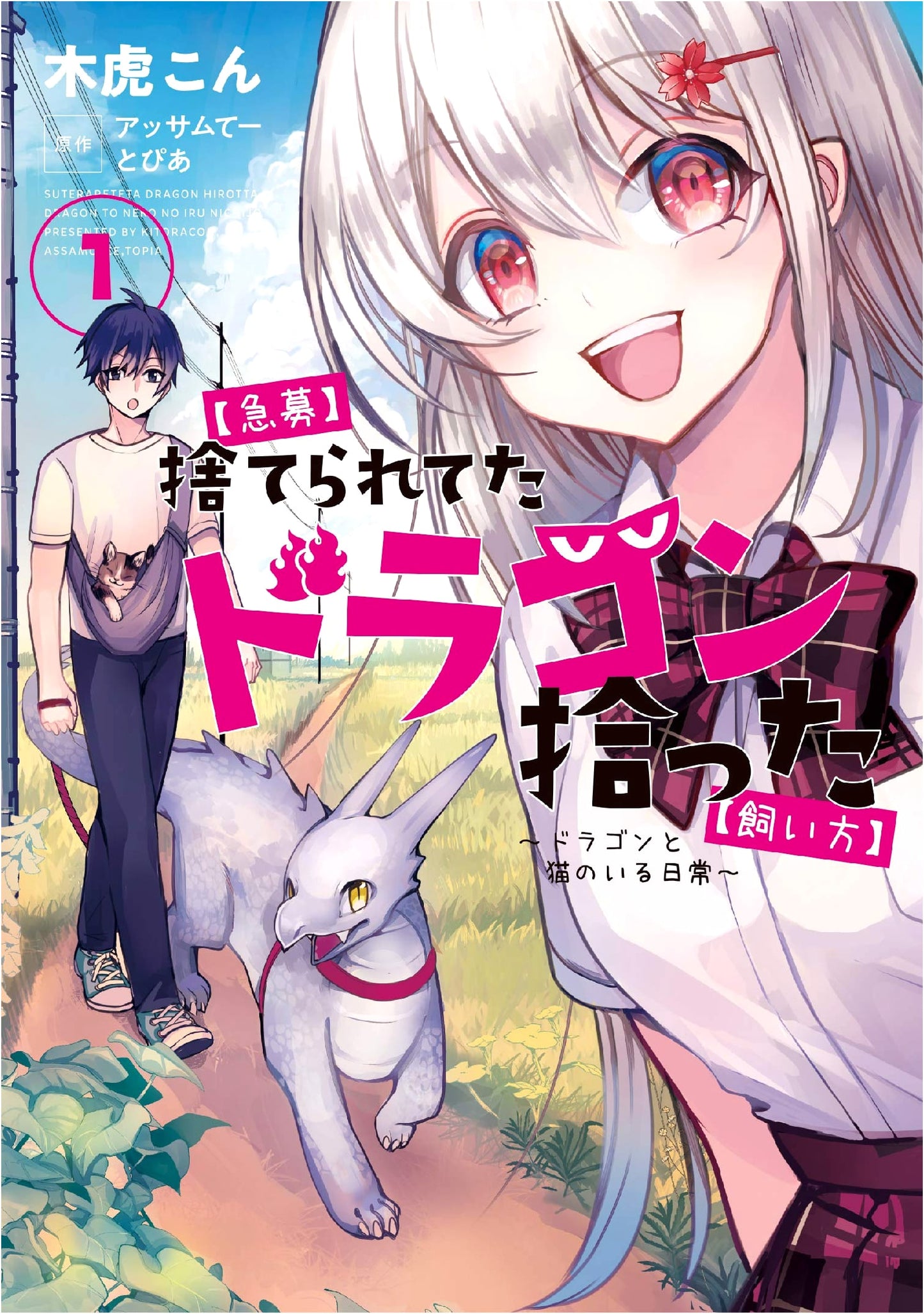 I Picked Up an Abandoned Dragon: How to Care for It ~Daily Life with a Dragon and a Cat~ Vol. 1