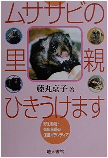 Fostering Flying Squirrels: Volunteer for Wildlife Protection & Rehabilitation