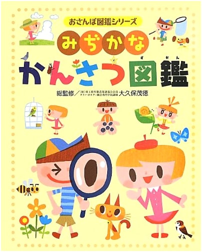 Everyday Observation Picture Book (Stroll Picture Book Series)
