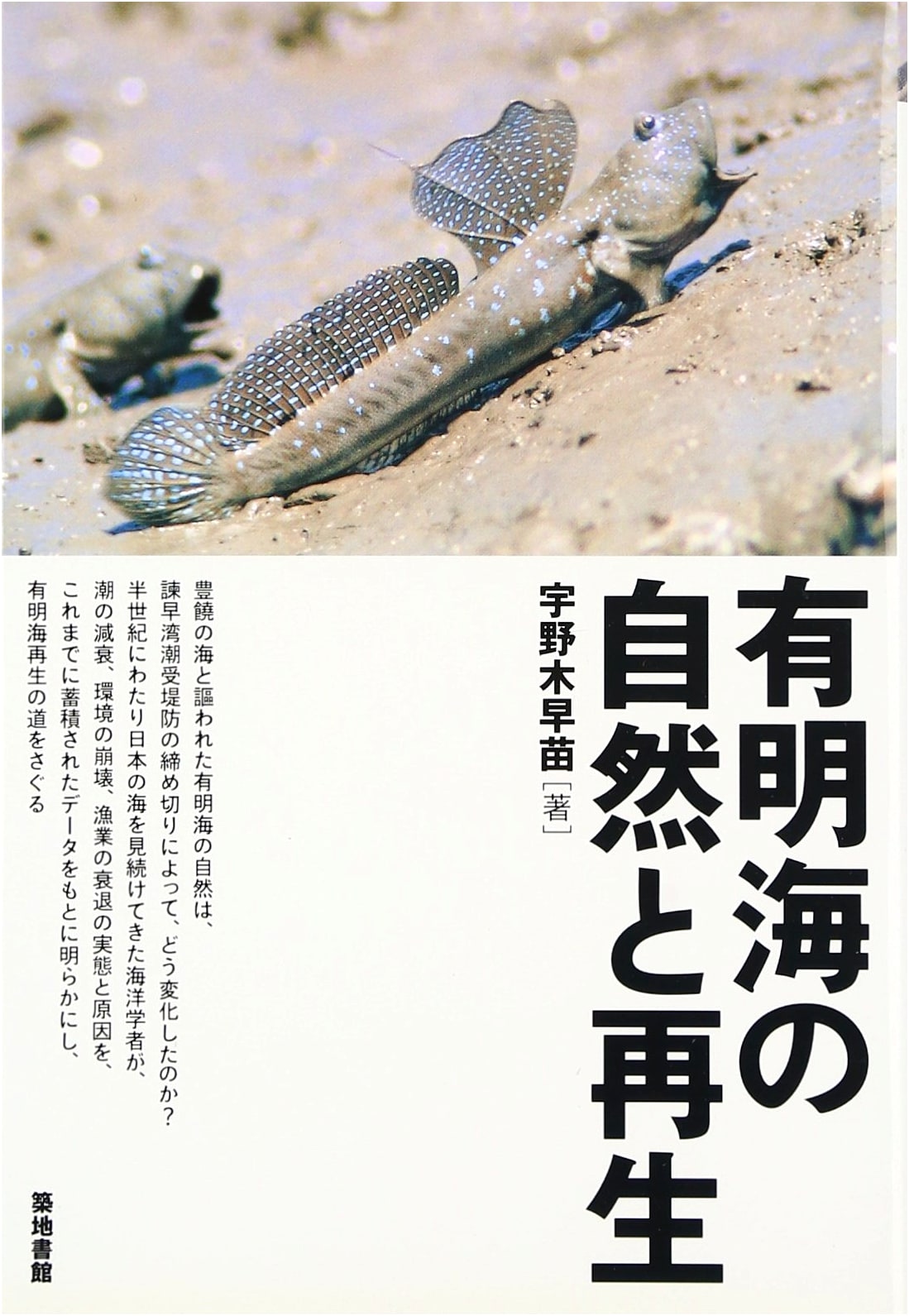 Nature and Restoration of the Ariake Sea