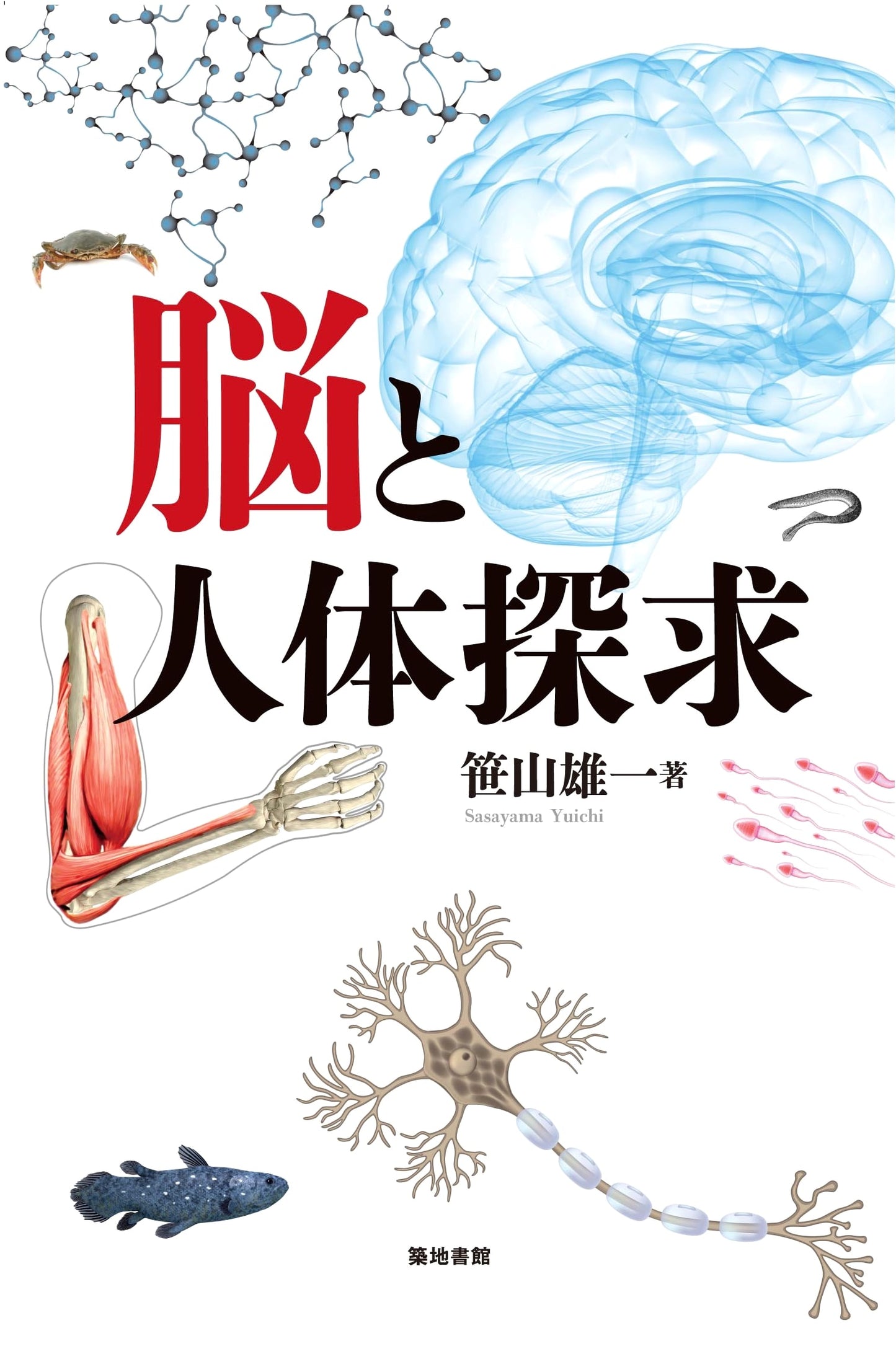 Exploration of the Brain and Human Body