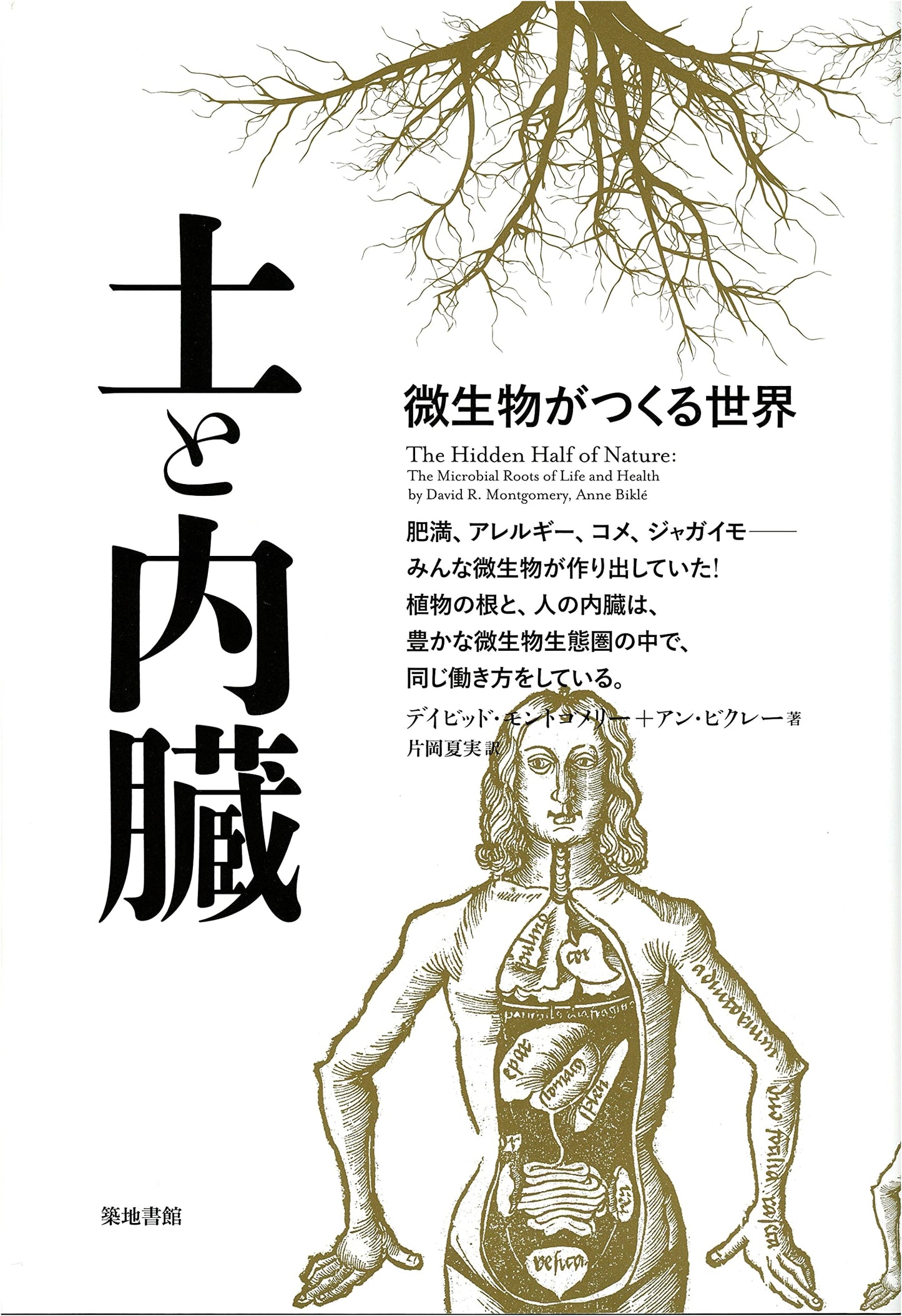Soil and Viscera: The World Created by Microorganisms