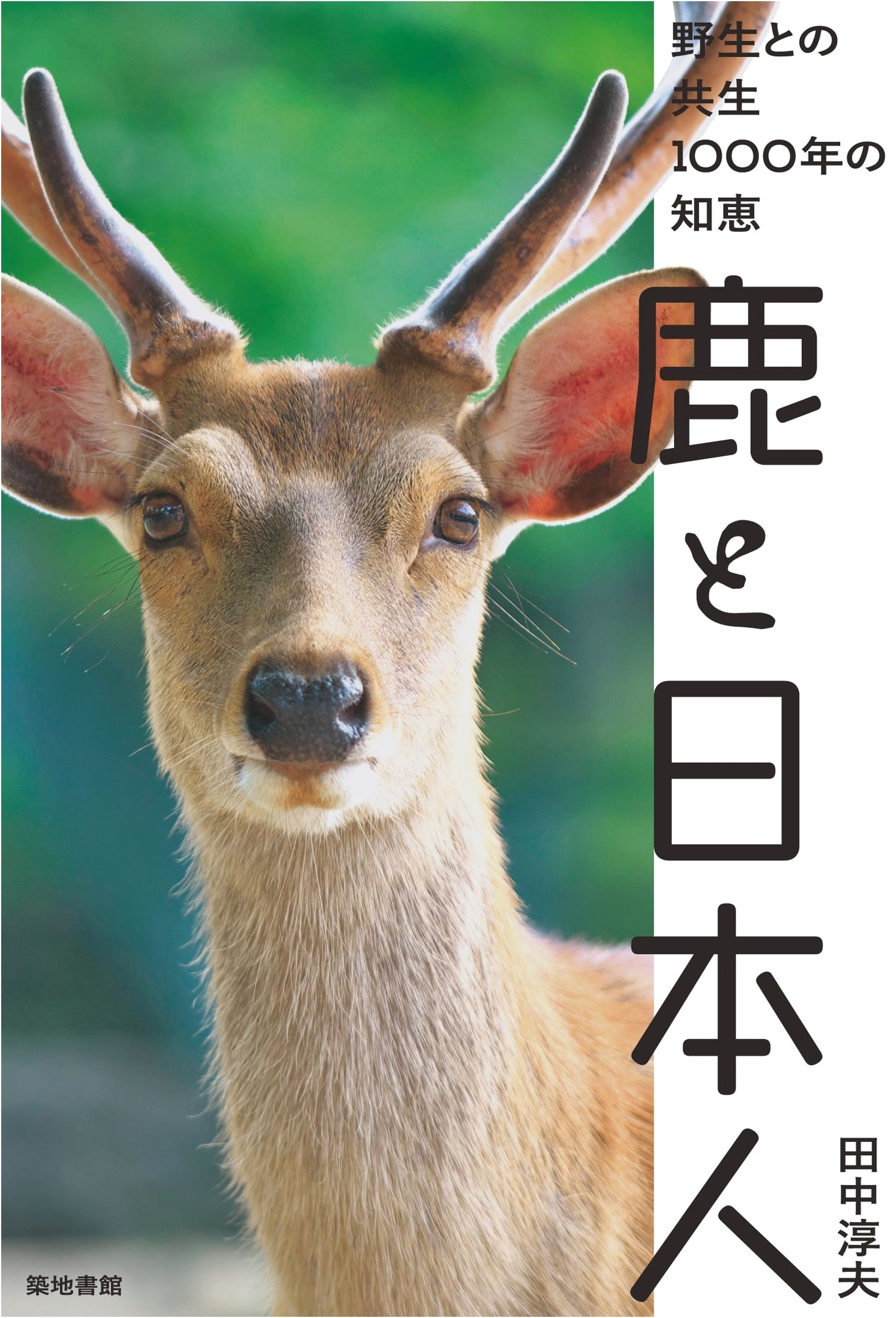 Deer and the Japanese: A Millennium of Coexistence with Wildlife