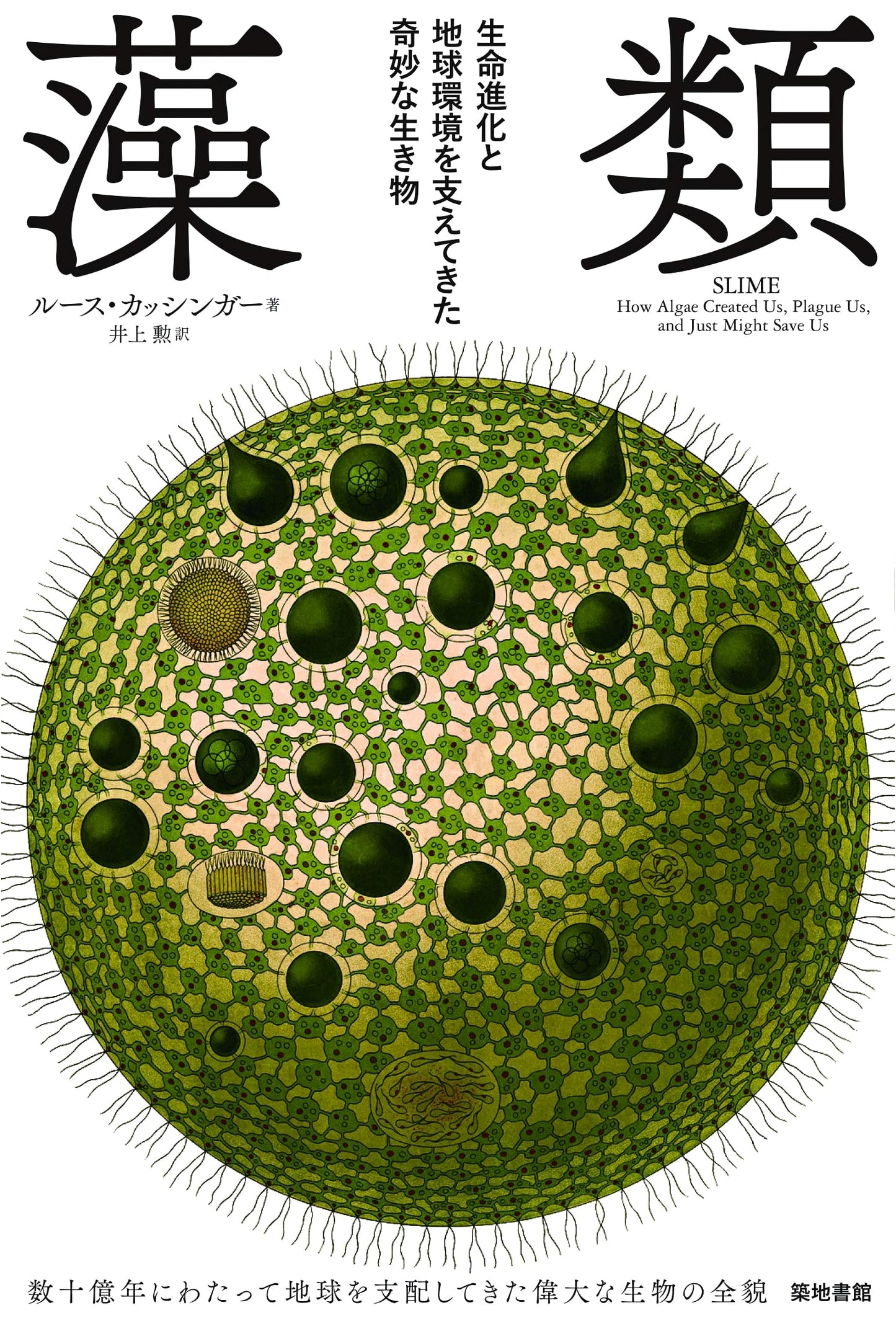 Algae: Strange Organisms Supporting Life Evolution and Earth's Environment