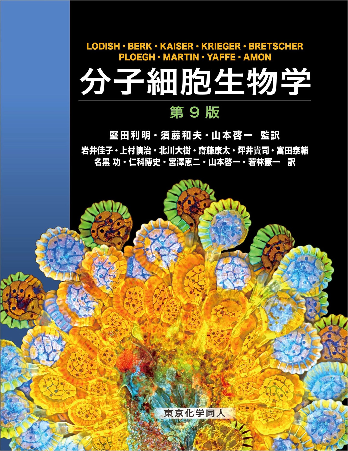 Molecular Cell Biology, 9th Edition