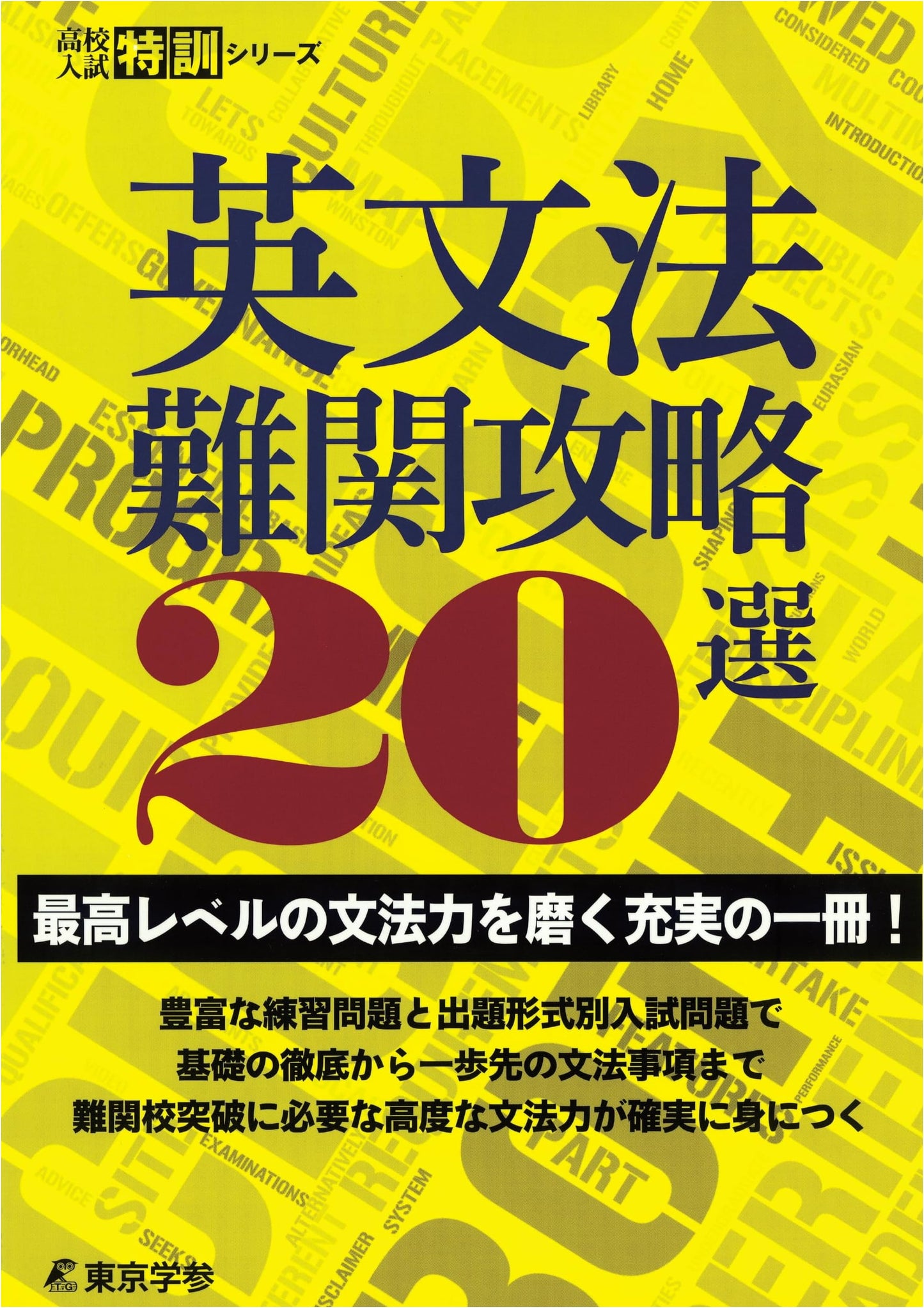 20 Essential Strategies for Mastering Difficult English Grammar (High School Entrance Exam Series)