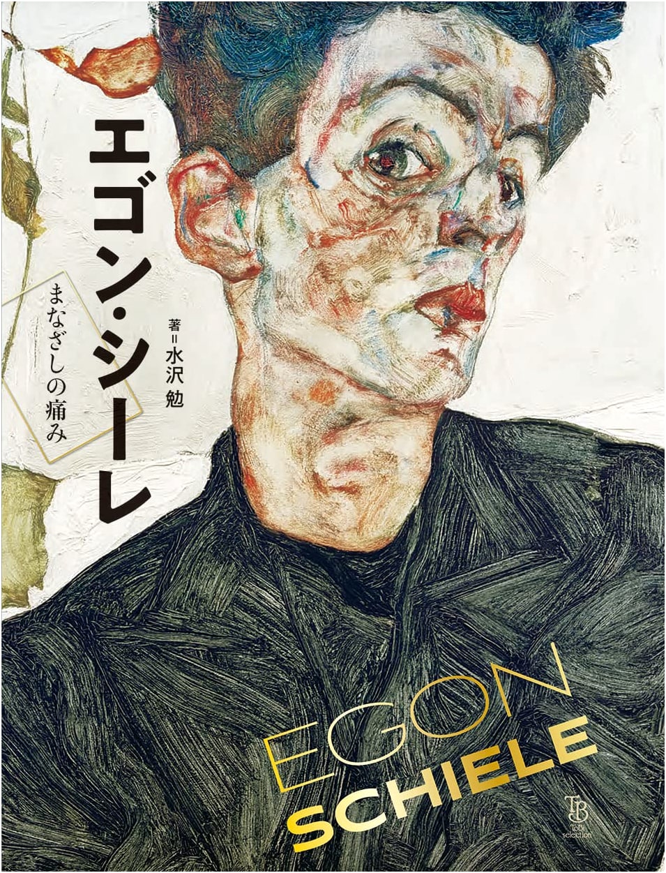 Egon Schiele: The Pain of the Gaze by Tsutomu Mizusawa