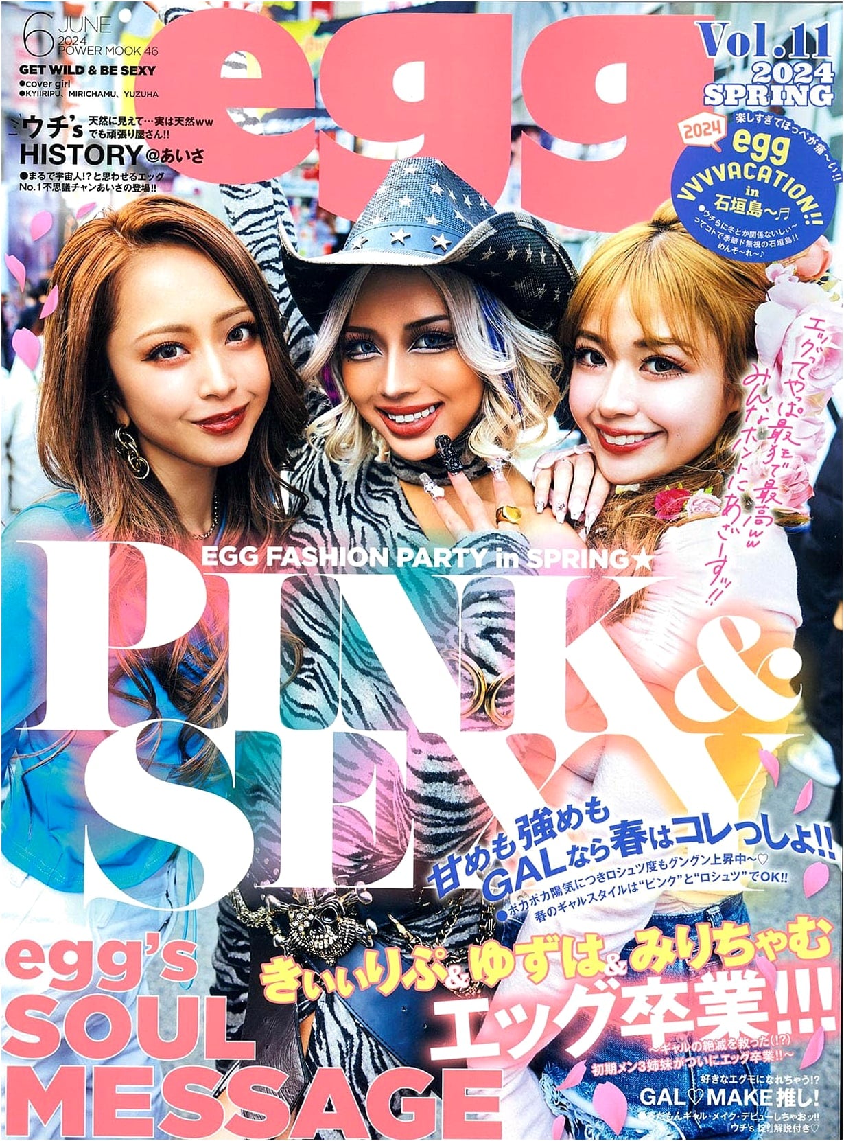 Egg Magazine Volume 11 (POWER MOOK Series)