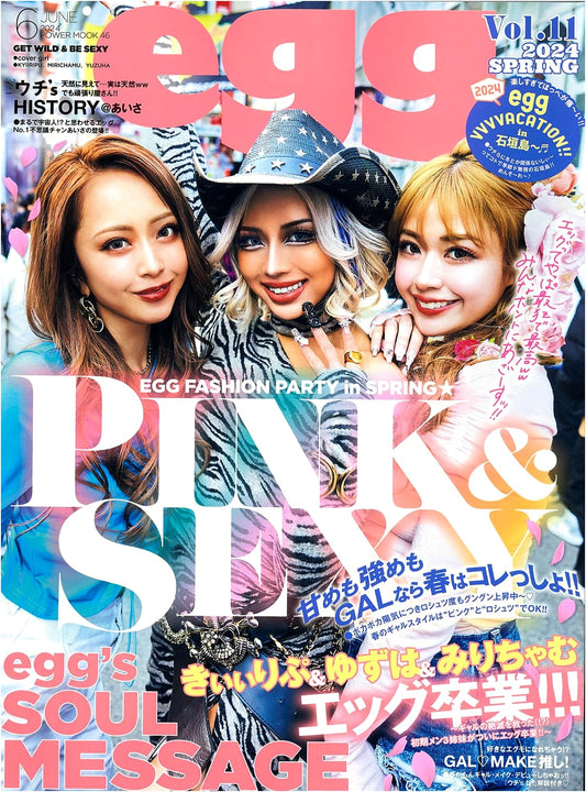 Egg Magazine Volume 11 (POWER MOOK Series)
