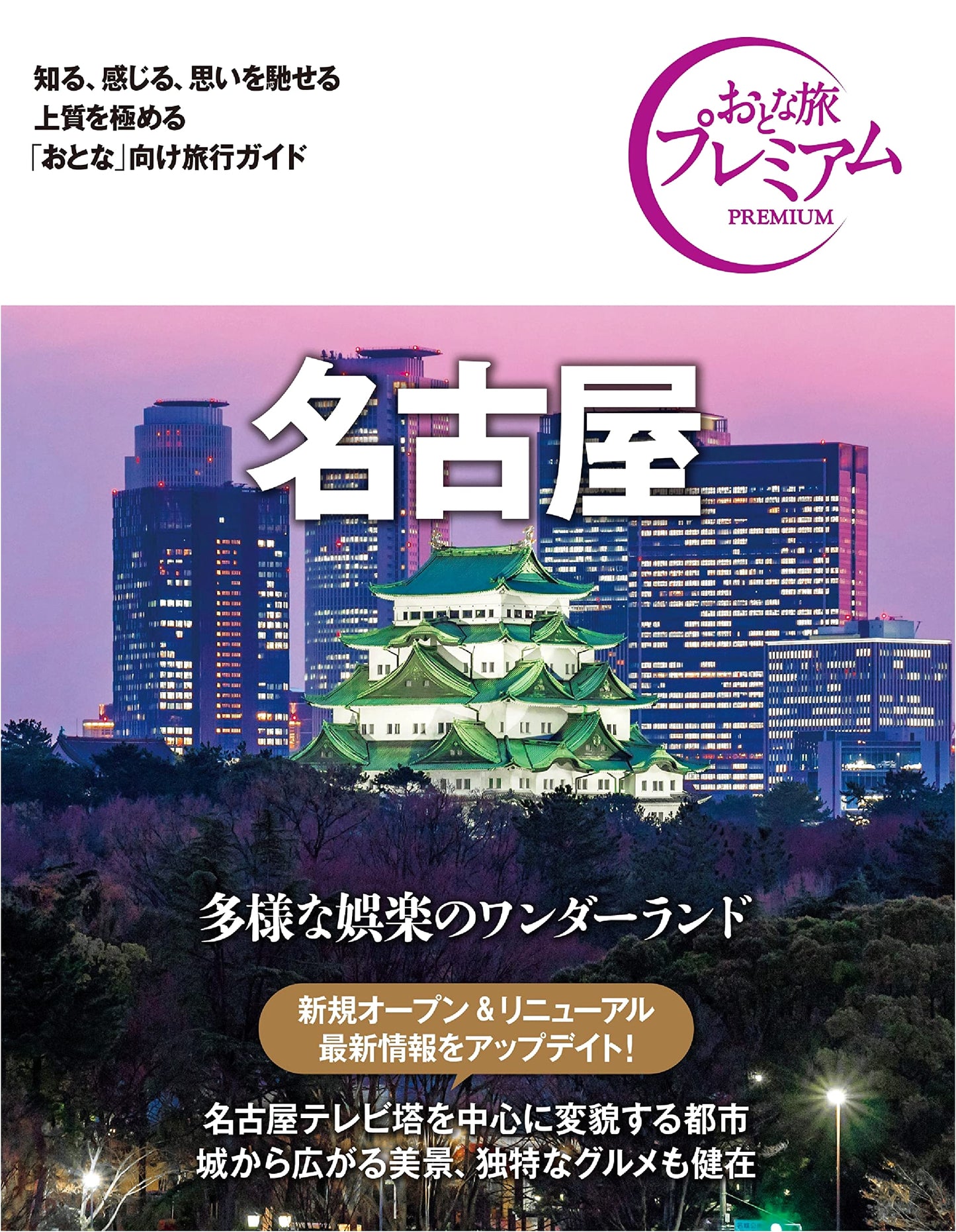 Nagoya: The Premium Adult Travel Guide, 3rd Edition