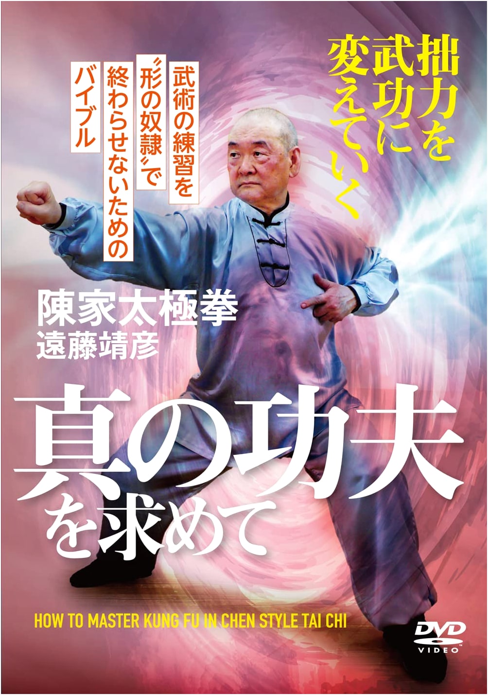 DVD: Seeking True Kung Fu