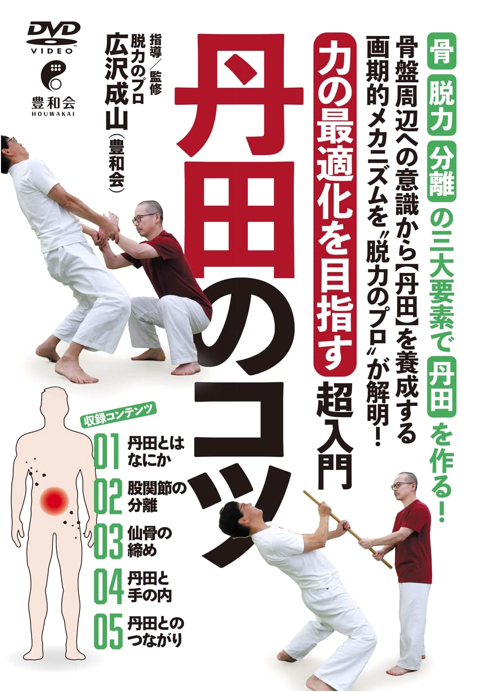 DVD: Mastering Tanden - Cultivating Inner Core Power