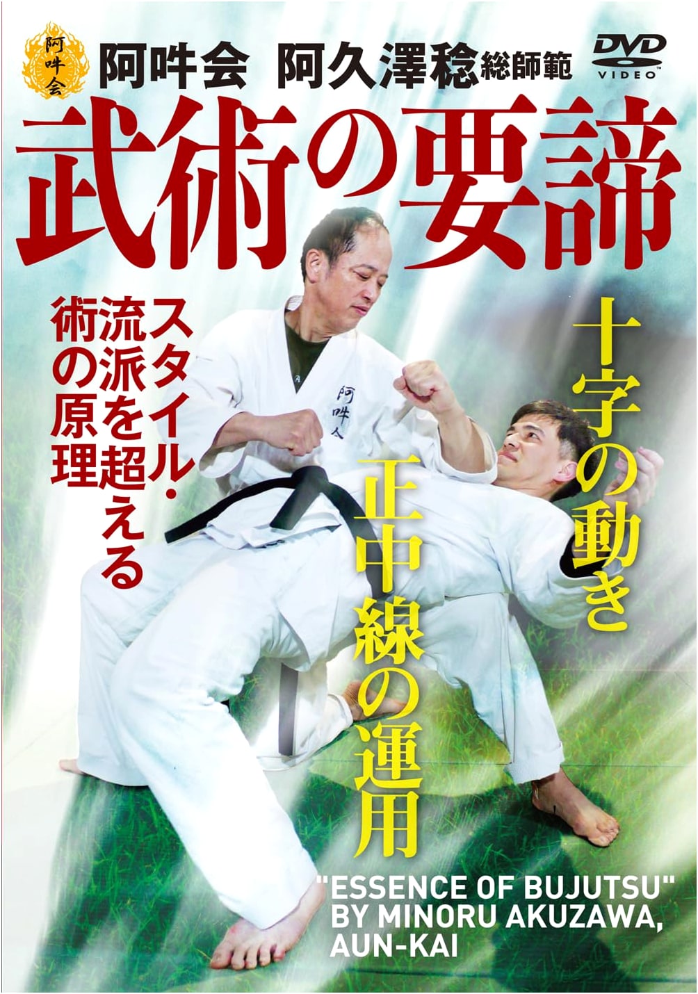DVD: The Essentials of Martial Arts