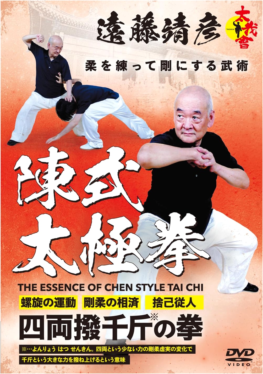 DVD: Yasuhiko Endo's Chen Style Tai Chi Chuan