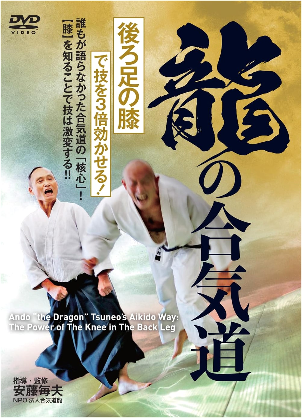 Dragon's Aikido DVD