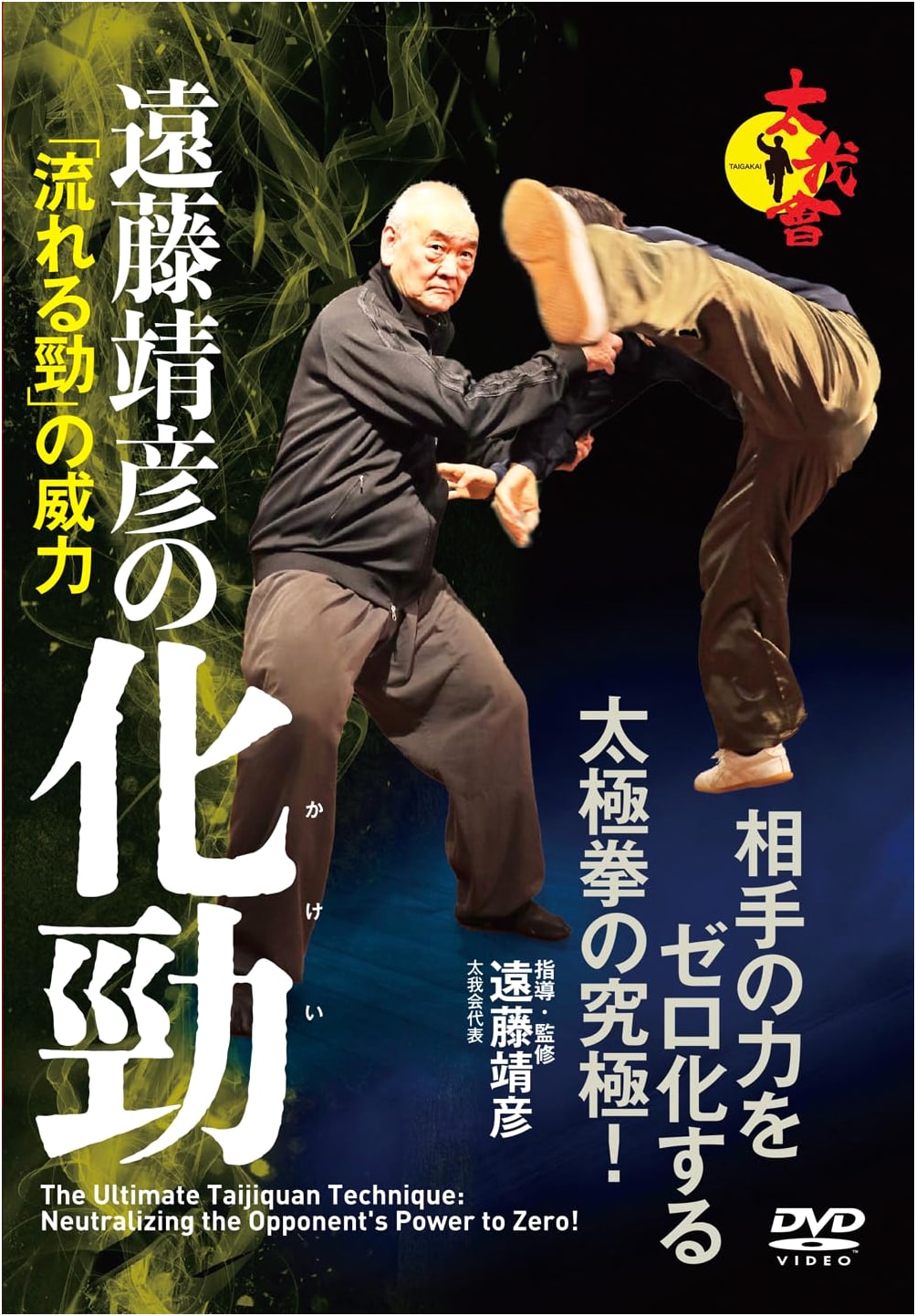 DVD: Endo Yasuhiko's Fa Jin: The Power of 'Flowing Energy'