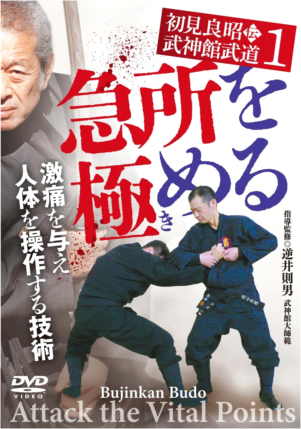 Hatsumi Yoshiaki's Bujinkan Budō Vol. 1: Mastering Vital Points & Manipulating the Body (DVD)
