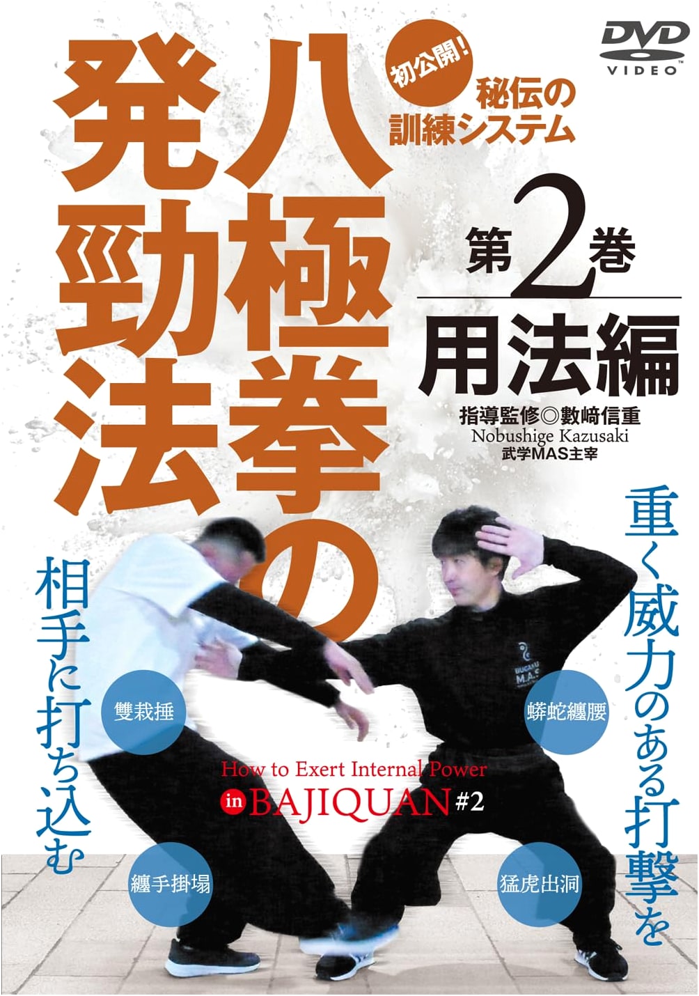 DVD: Baji Quan Fa Jing Methods Vol. 2 - Application Techniques