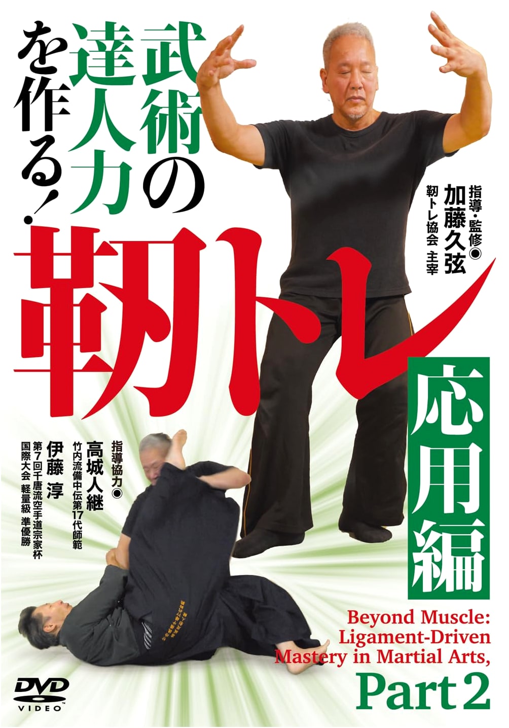 DVD: Building Martial Arts Mastery! Jin Training - Advanced Techniques