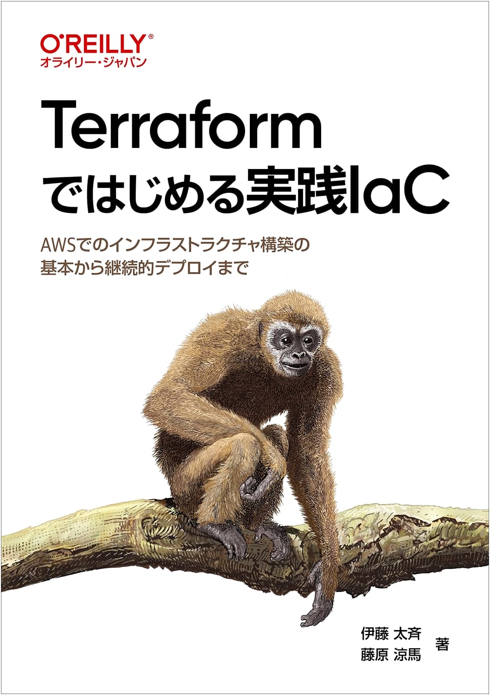 Practical IaC with Terraform: AWS Infrastructure from Basics to CD