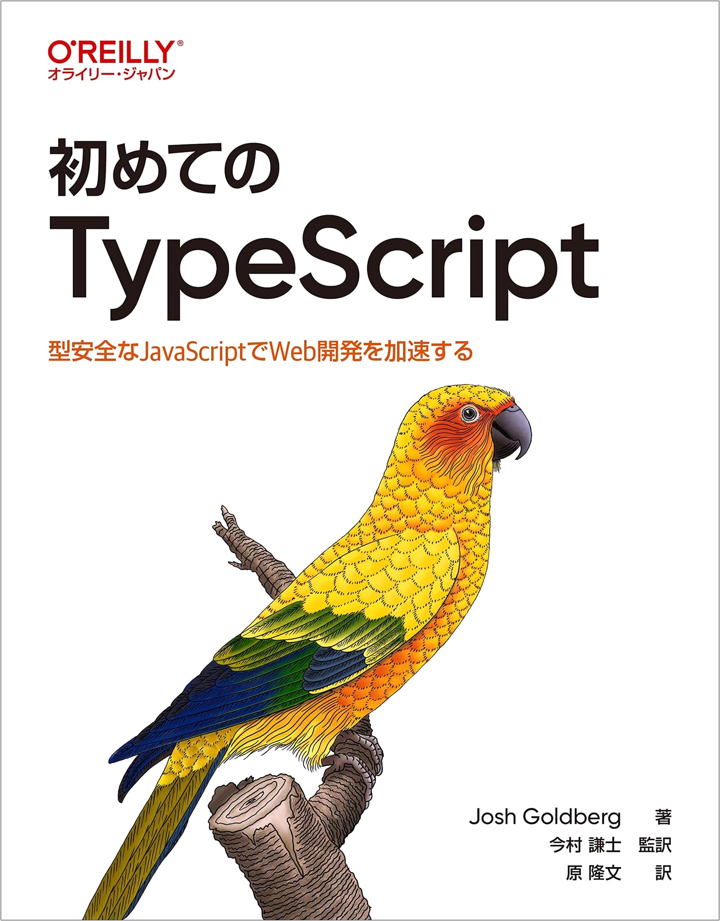 Beginning TypeScript: Accelerate Web Development with Type-Safe JavaScript