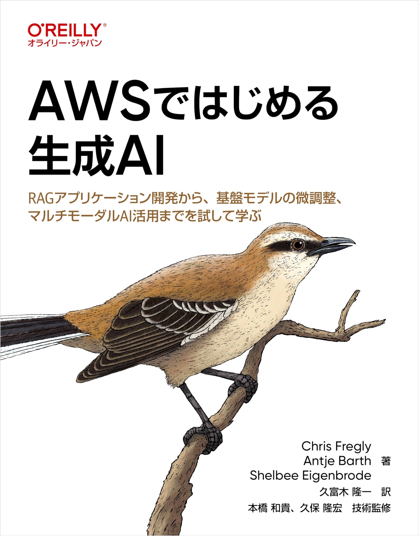 Starting Generative AI with AWS: RAG App Dev, Model Fine-Tuning & Multimodal AI