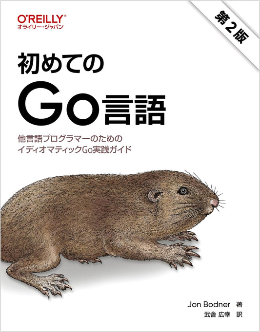 Beginning Go Language, 2nd Edition: A Practical Guide to Idiomatic Go for Programmers