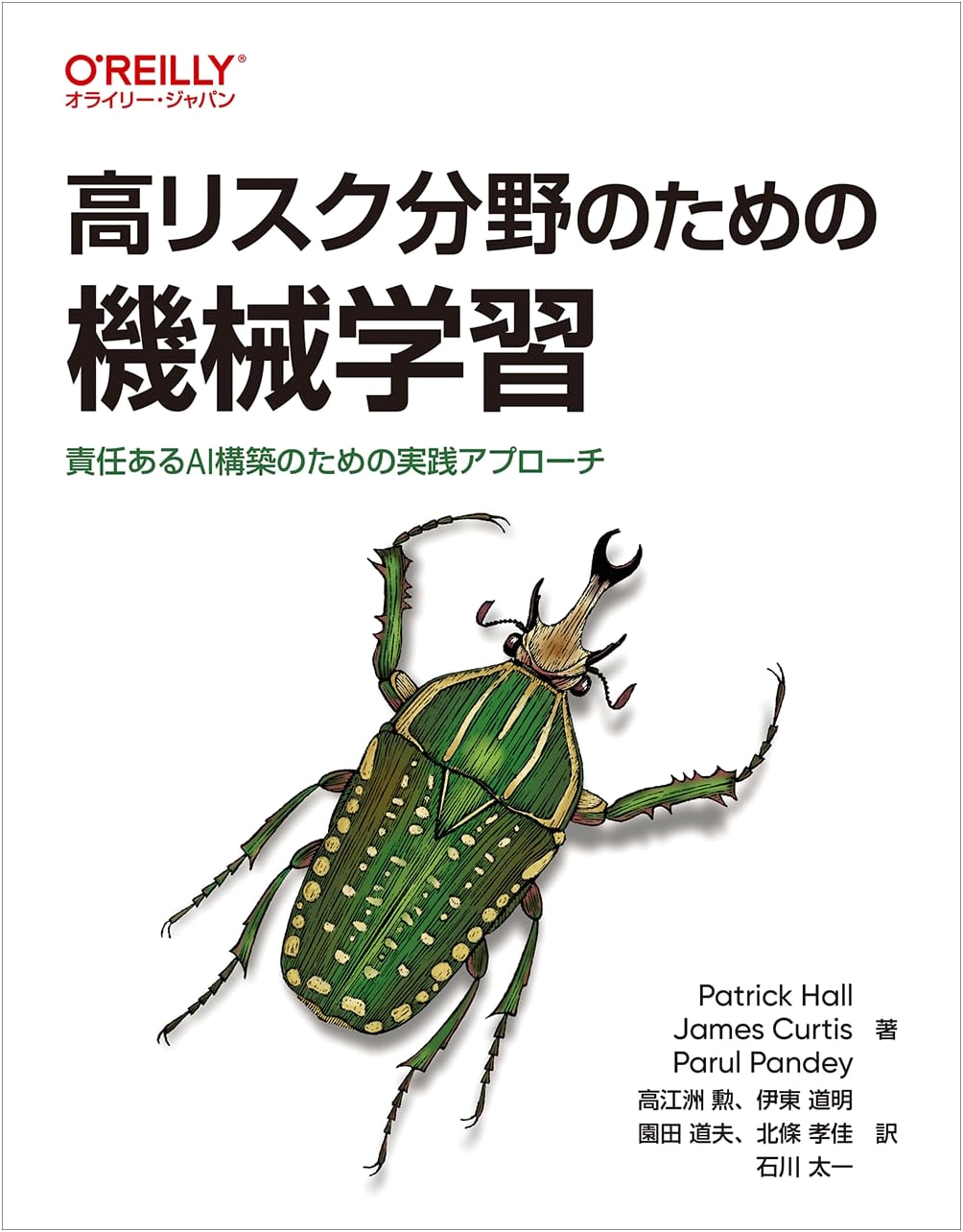 Machine Learning for High-Risk Fields: Practical Approaches for Responsible AI