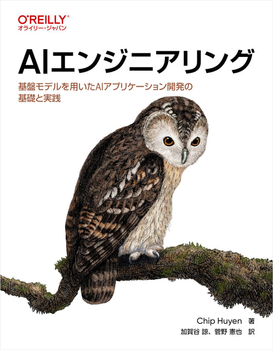 AI Engineering: Foundations and Practice of AI Application Development with Base Models (Kengo Sugano, trans.)