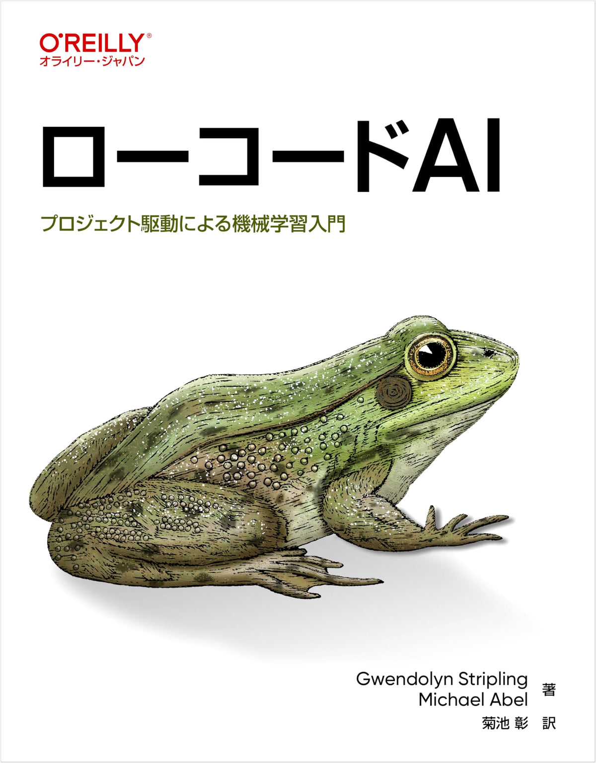 Low-Code AI: Project-Driven Introduction to Machine Learning