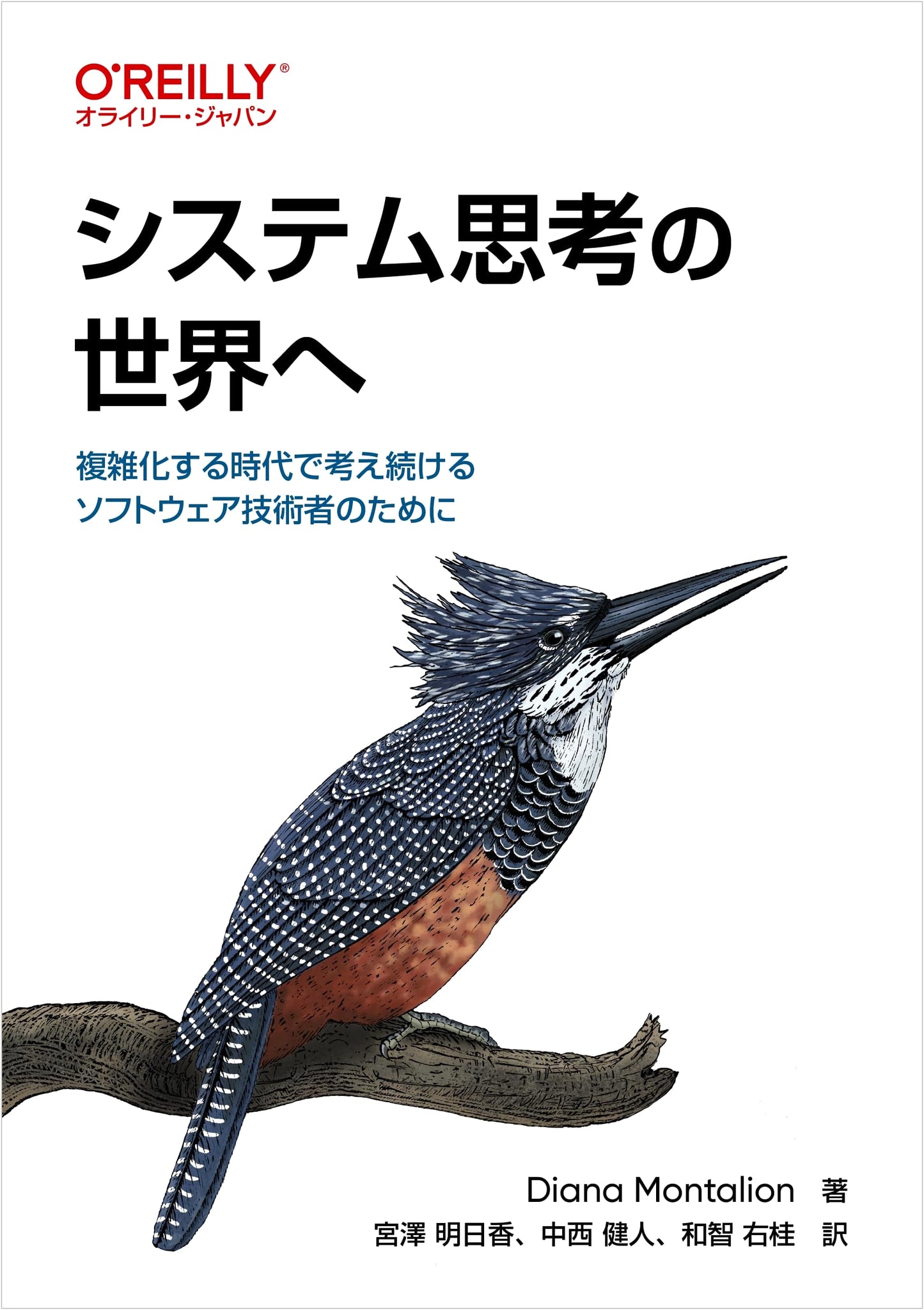 Thinking in Systems: For Software Engineers in an Age of Complexity
