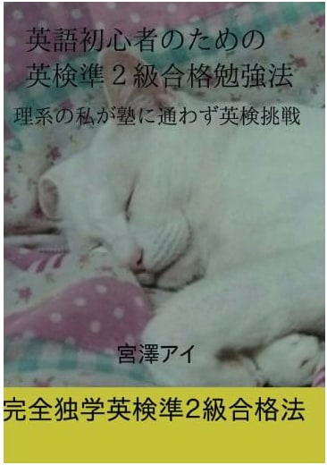 How to Pass the Eiken Grade Pre-2 for English Beginners: A Science Student's Challenge
