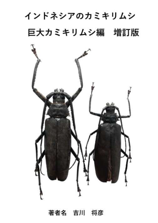 Longhorn Beetles of Indonesia: Giant Species Volume