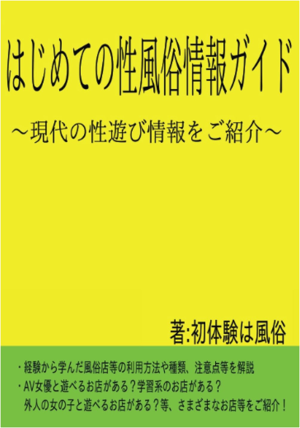 Your First Guide to the Japanese Sex Industry: Modern Sex Information