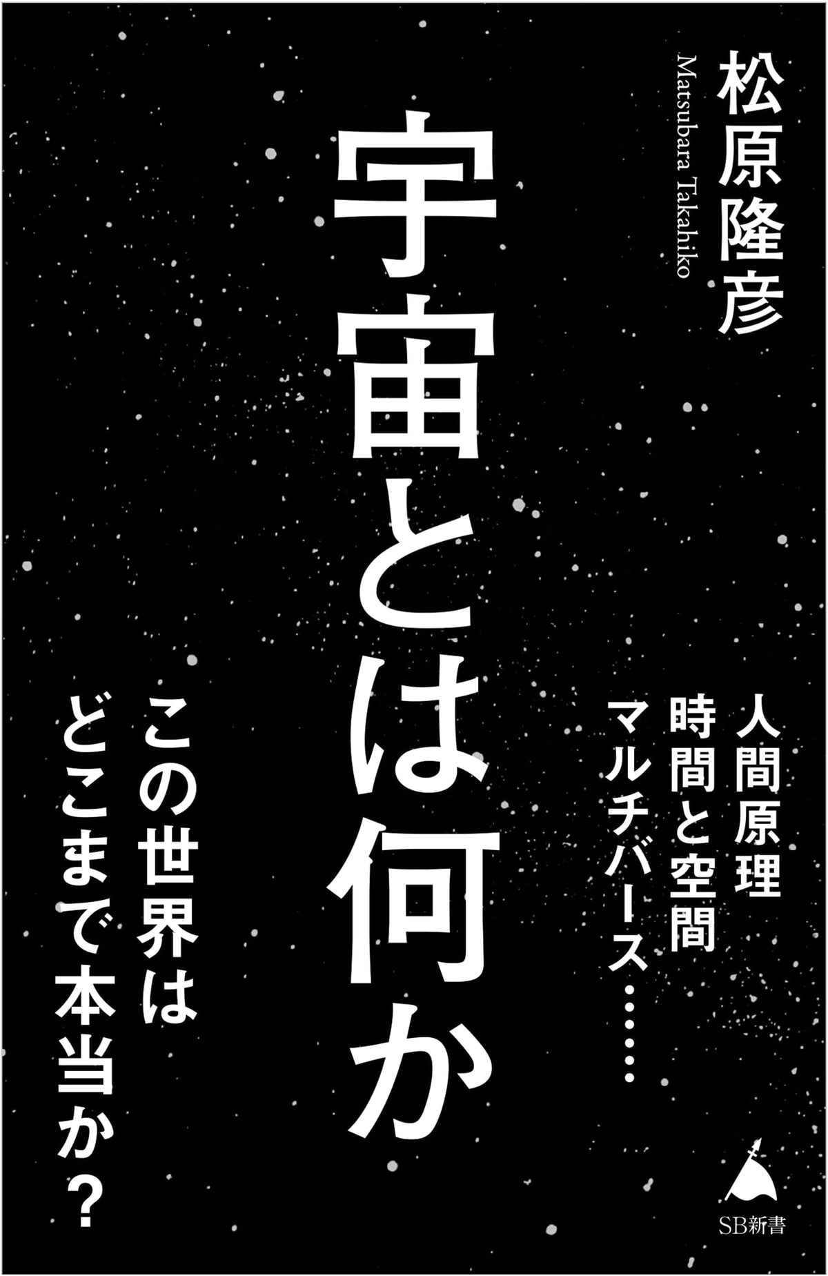 What is the Universe? (SB New Library 640)