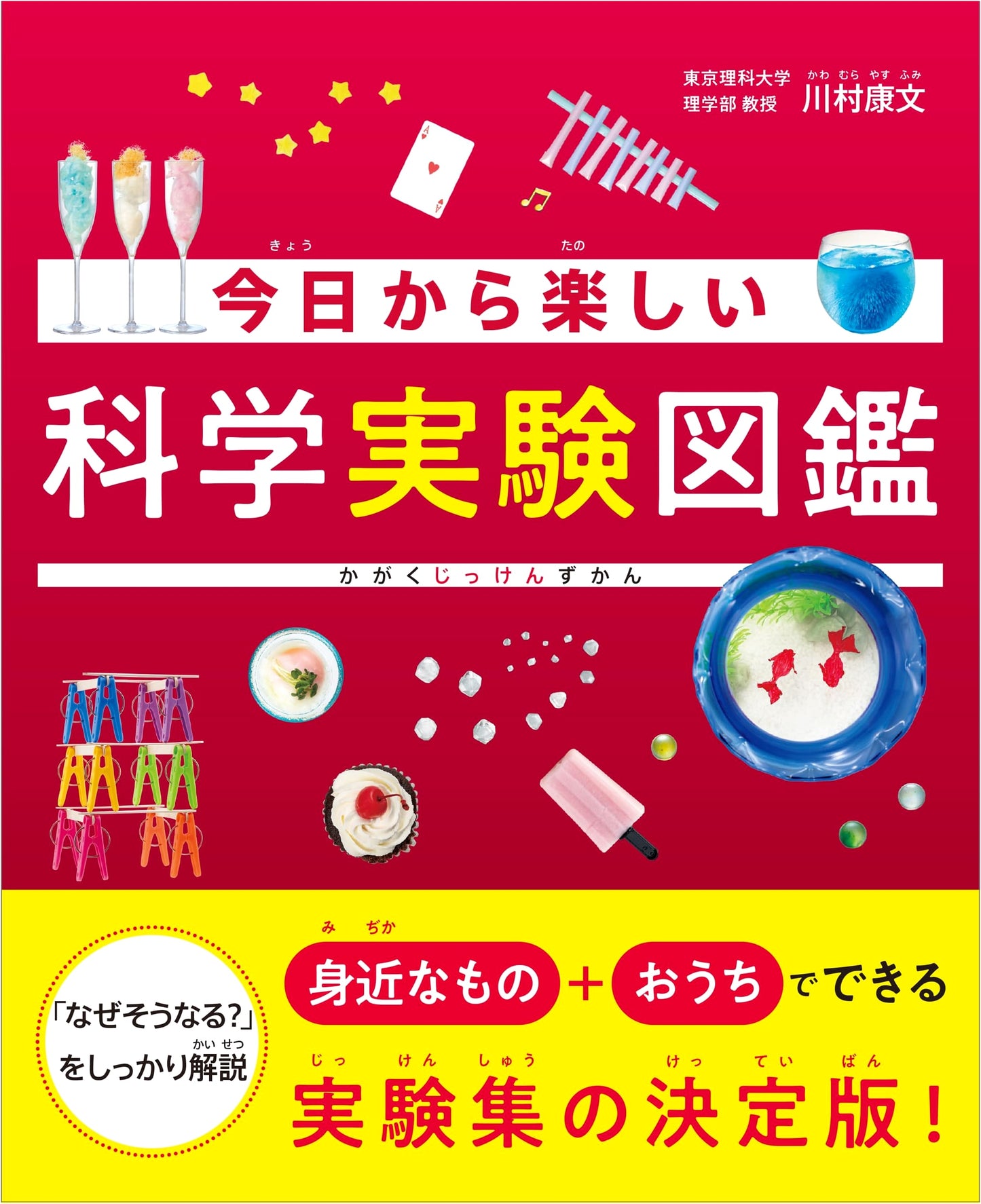 Illustrated Guide to Fun Science Experiments Starting Today