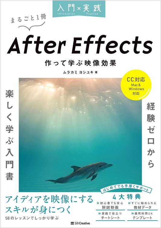 After Effects: Practical Introduction to Video Effects (CC, Mac & Windows)